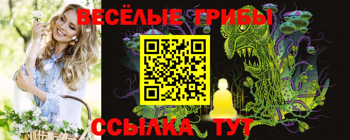 Псилоцибиновые грибы Psilocybe Елец