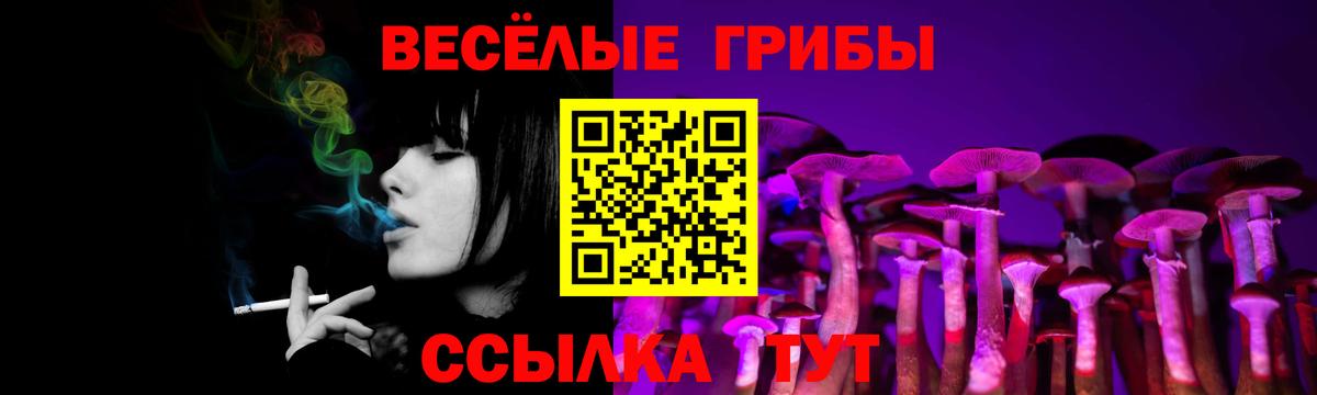 Псилоцибиновые грибы GOLDEN TEACHER  Псилоцибиновые грибы прущие грибы  закладки  Елец  Вход с VPN 